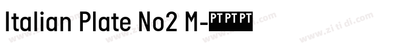 Italian Plate No2 M字体转换